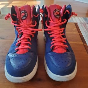 Nike Dunk Free High 2013